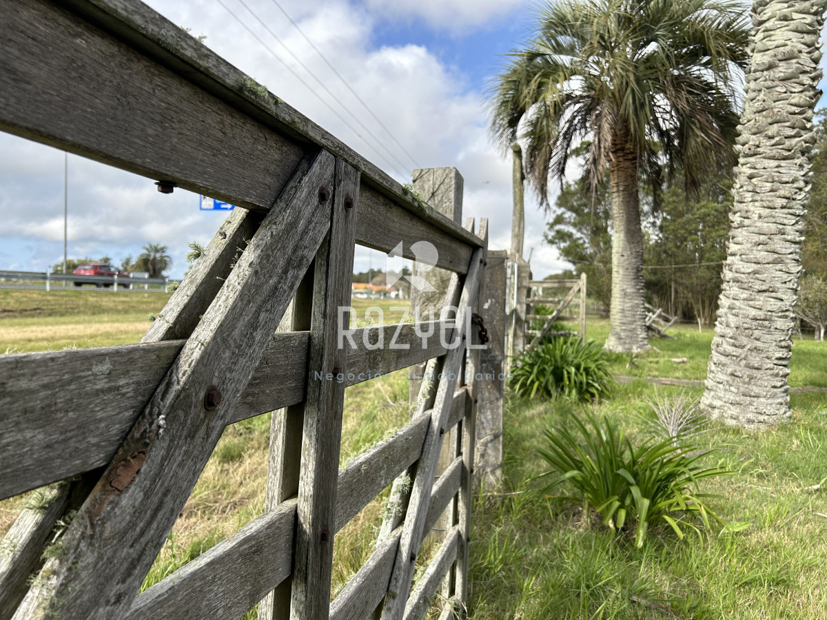 Campo Ref.798 - 81,5 Hect en Garzon