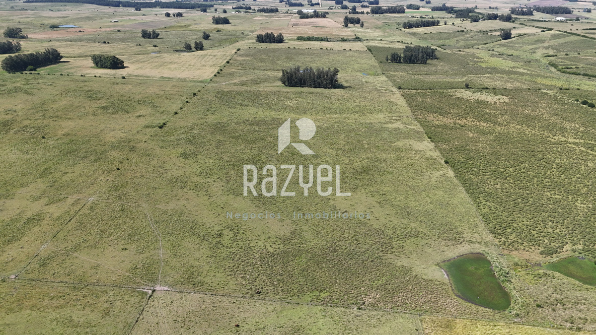 Campo Ref.840 - Venta de Campo de 100 hectareas de Campo Ganadero Agricola Zanja de Chavez 