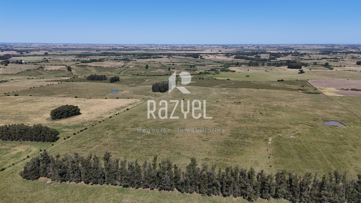 Campo Ref.840 - Venta de Campo de 100 hectareas de Campo Ganadero Agricola Zanja de Chavez 