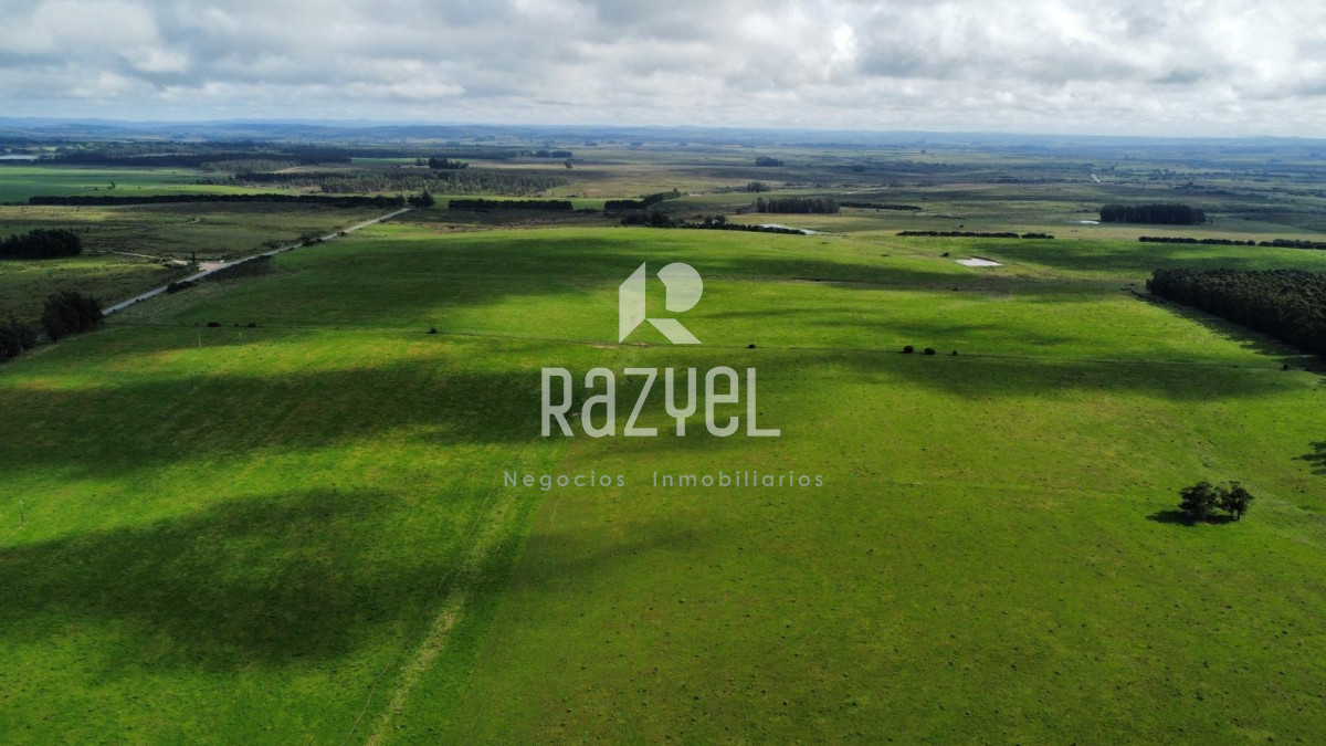 Campo Ref.798 - 81,5 Hect en Garzon