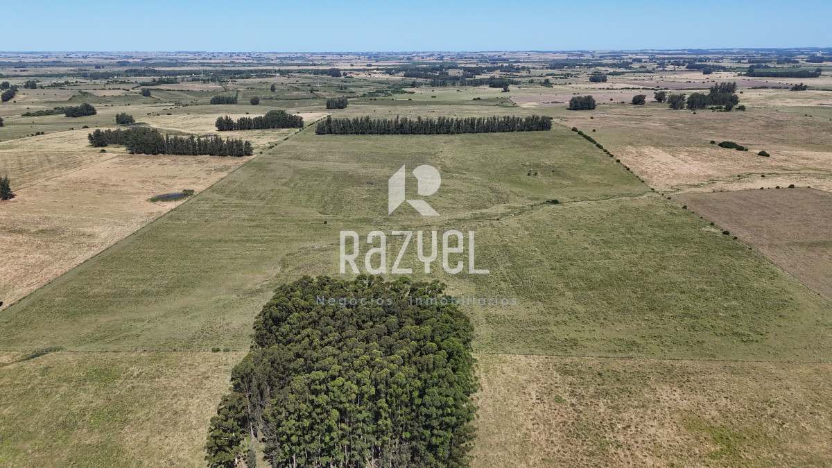 Campo Ref.840 - Venta de Campo de 100 hectareas de Campo Ganadero Agricola Zanja de Chavez 