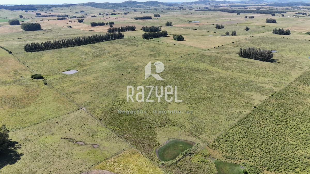 Campo Ref.840 - Venta de Campo de 100 hectareas de Campo Ganadero Agricola Zanja de Chavez 