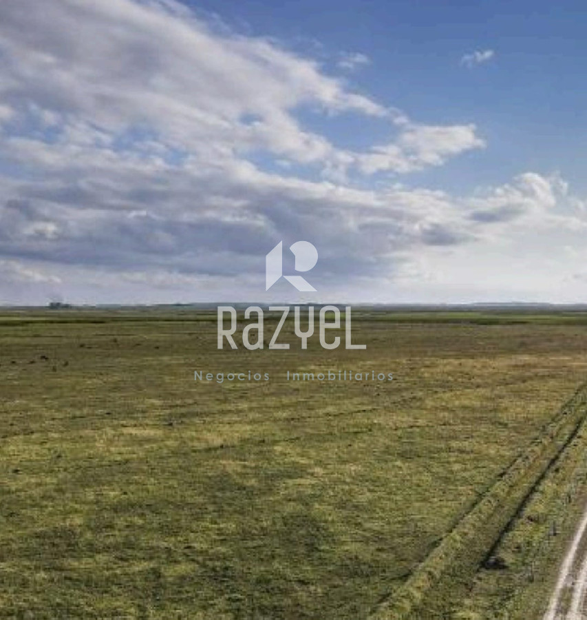 Campo Ref.1149 - Venta de Campo San Luis