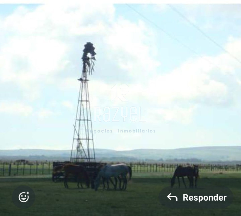 Campo Ref.1172 - Campo Estancia Lavalleja  de 2120 hectáreas Localidad Jose Pedro Varela