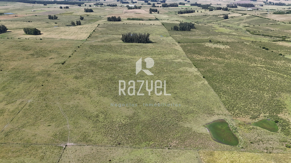 Campo Ref.840 - Venta de Campo de 100 hectareas de Campo Ganadero Agricola Zanja de Chavez 