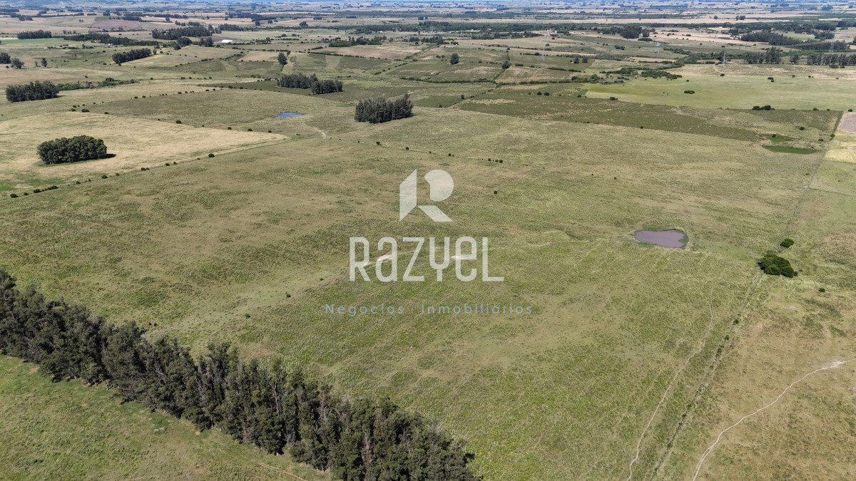 Campo Ref.840 - Venta de Campo de 100 hectareas de Campo Ganadero Agricola Zanja de Chavez 