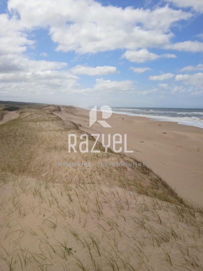Campo Ref.1156 - Venta de Campo Forestal costero Rocha . Punta del Diablo