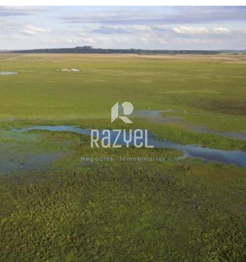 Campo Ref.1149 - Venta de Campo San Luis