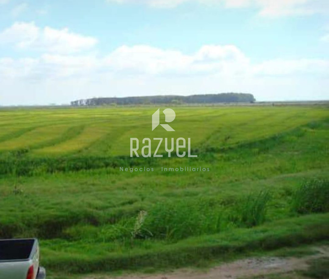 Campo Ref.1172 - Campo Estancia Lavalleja  de 2120 hectáreas Localidad Jose Pedro Varela