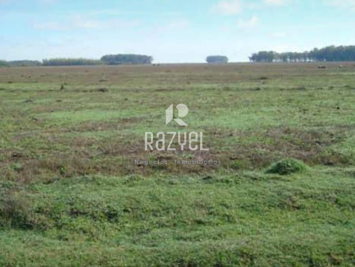 Campo Ref.1172 - Campo Estancia Lavalleja  de 2120 hectáreas Localidad Jose Pedro Varela