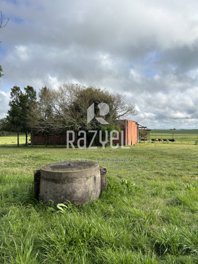 Campo Ref.798 - 81,5 Hect en Garzon