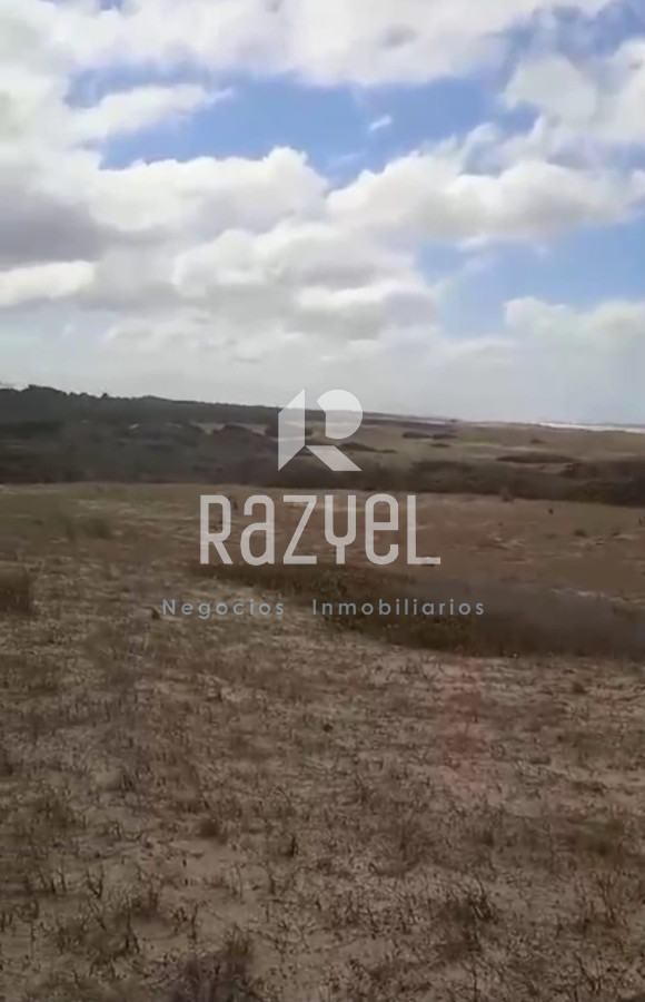 Campo Ref.1156 - Venta de Campo Forestal costero Rocha . Punta del Diablo