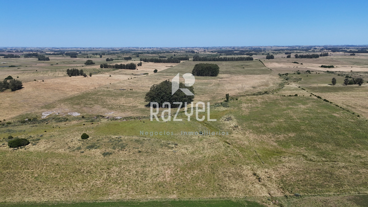 Campo Ref.840 - Venta de Campo de 100 hectareas de Campo Ganadero Agricola Zanja de Chavez 
