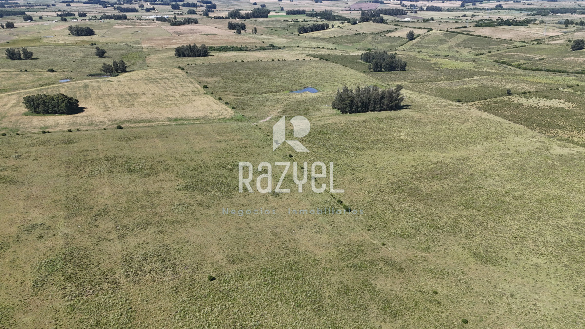 Campo Ref.840 - Venta de Campo de 100 hectareas de Campo Ganadero Agricola Zanja de Chavez 