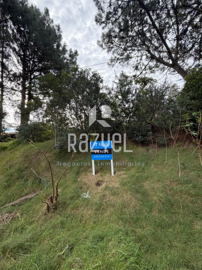Campo Ref.1268 - Oportunidad en Terreno en VENTA!