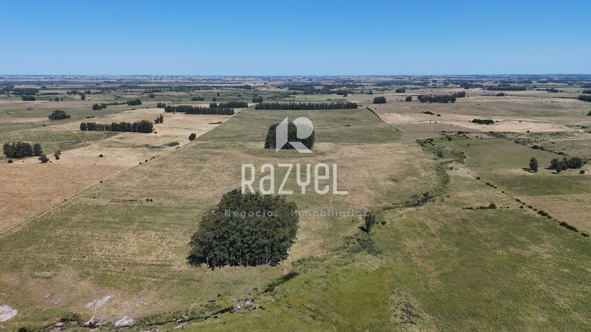 Campo Ref.840 - Venta de Campo de 100 hectareas de Campo Ganadero Agricola Zanja de Chavez 