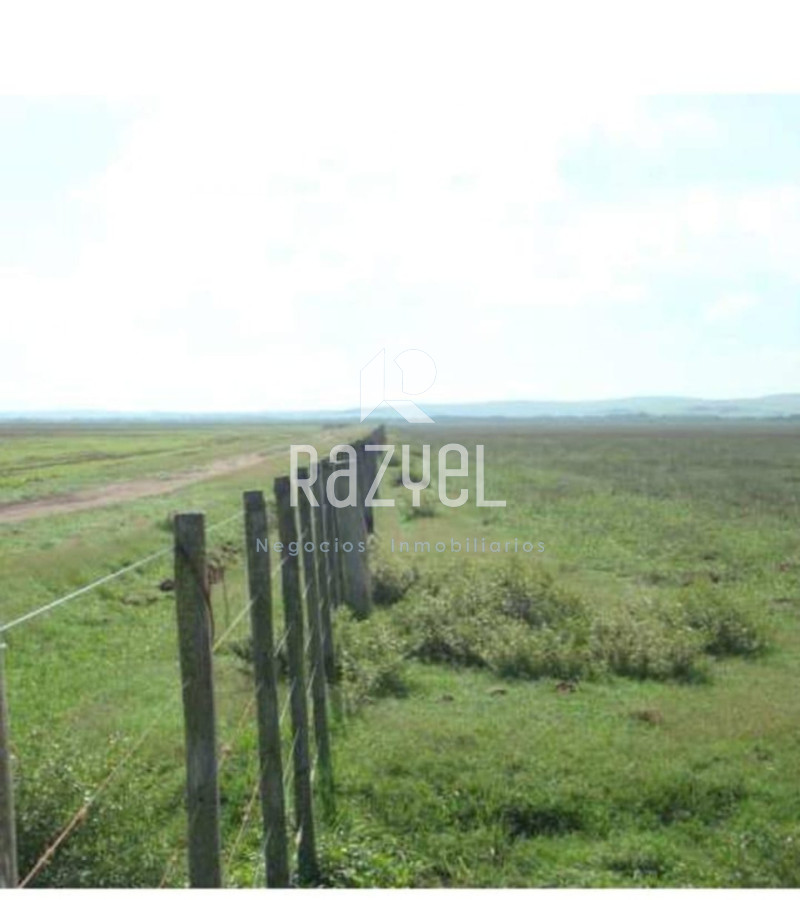 Campo Ref.1172 - Campo Estancia Lavalleja  de 2120 hectáreas Localidad Jose Pedro Varela