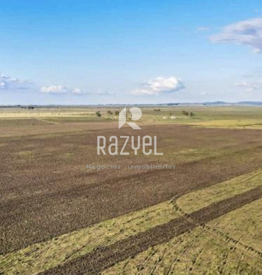 Campo Ref.1149 - Venta de Campo San Luis