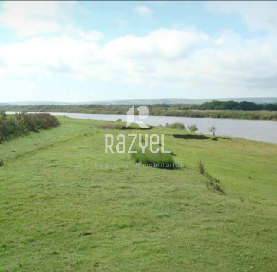 Campo Ref.1172 - Campo Estancia Lavalleja  de 2120 hectáreas Localidad Jose Pedro Varela