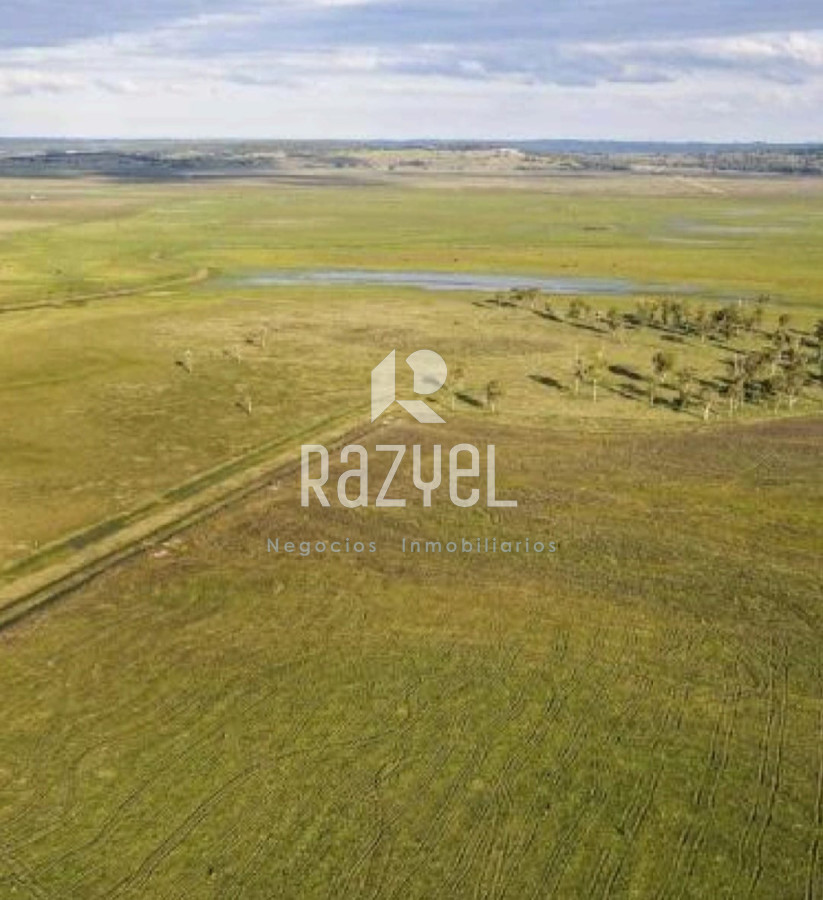 Campo Ref.1149 - Venta de Campo San Luis