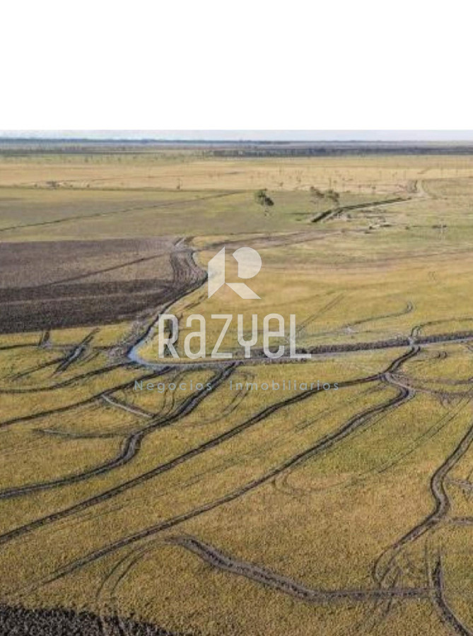 Campo Ref.1149 - Venta de Campo San Luis