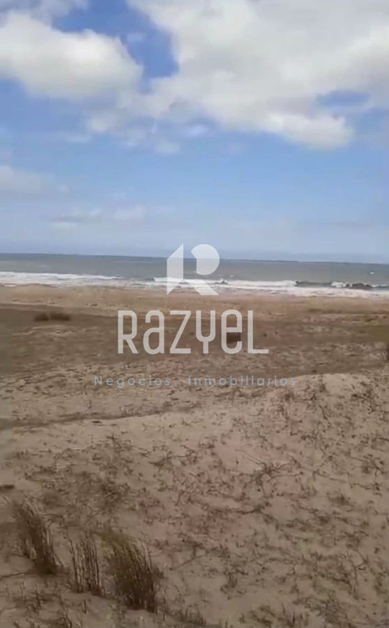 Campo Ref.1156 - Venta de Campo Forestal costero Rocha . Punta del Diablo