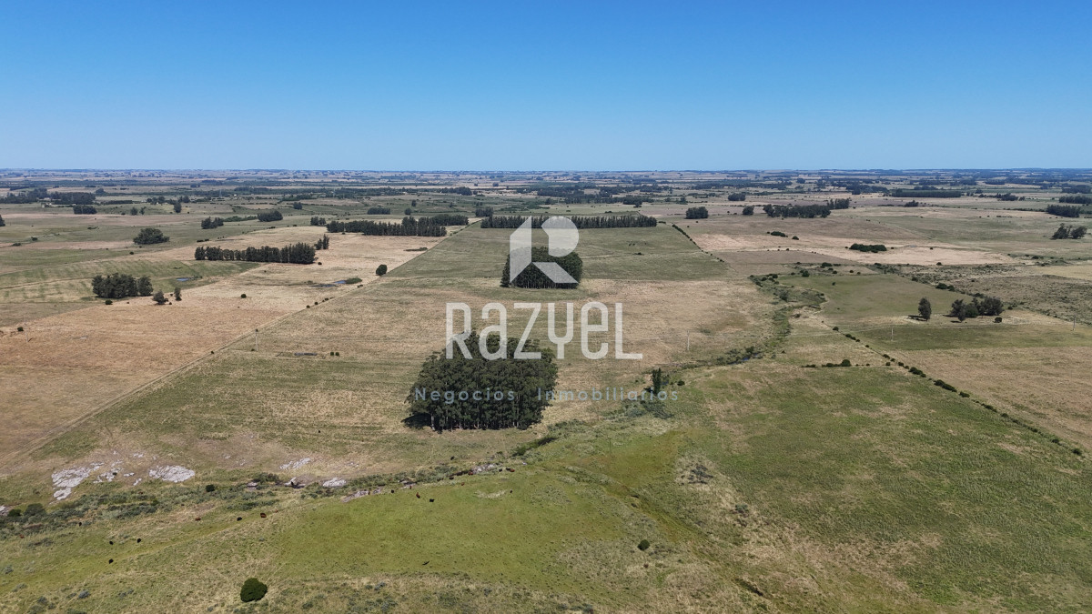 Campo Ref.840 - Venta de Campo de 100 hectareas de Campo Ganadero Agricola Zanja de Chavez 