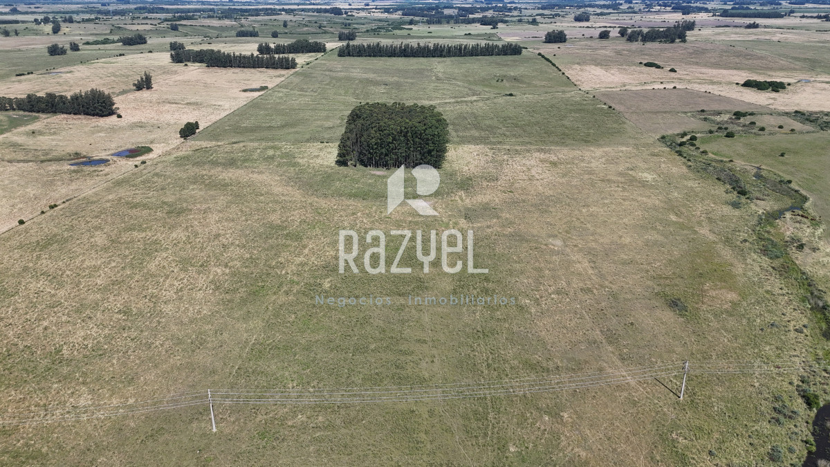 Campo Ref.840 - Venta de Campo de 100 hectareas de Campo Ganadero Agricola Zanja de Chavez 