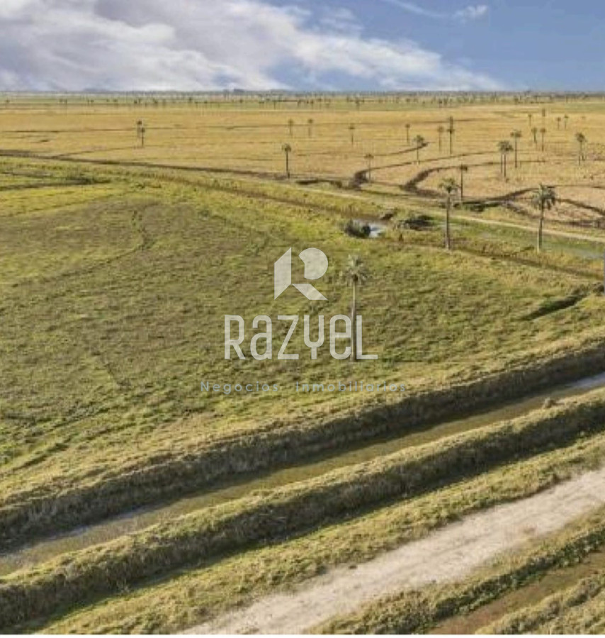 Campo Ref.1149 - Venta de Campo San Luis