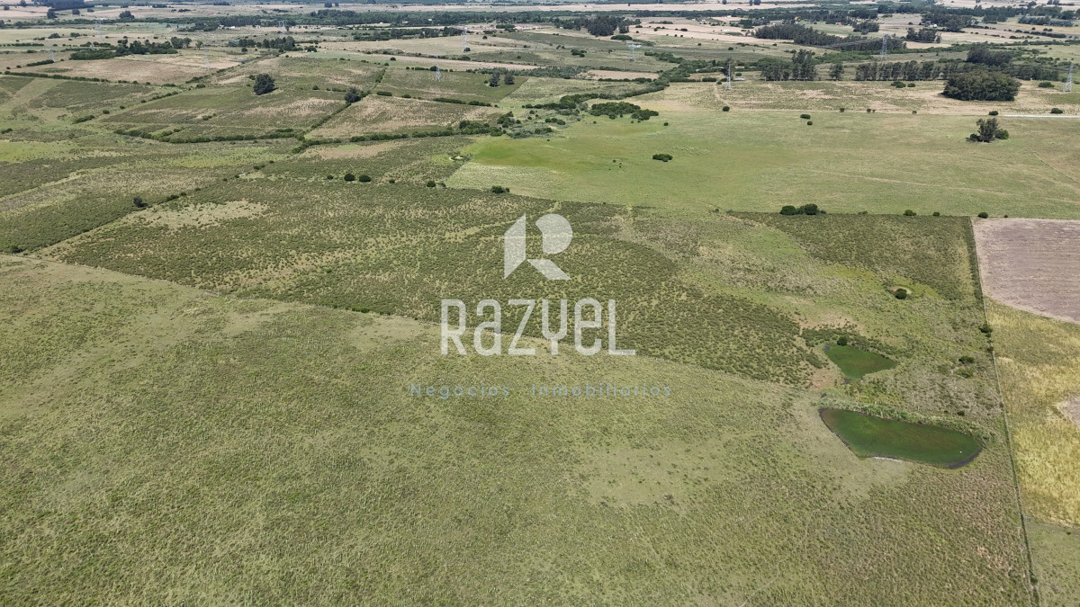 Campo Ref.840 - Venta de Campo de 100 hectareas de Campo Ganadero Agricola Zanja de Chavez 