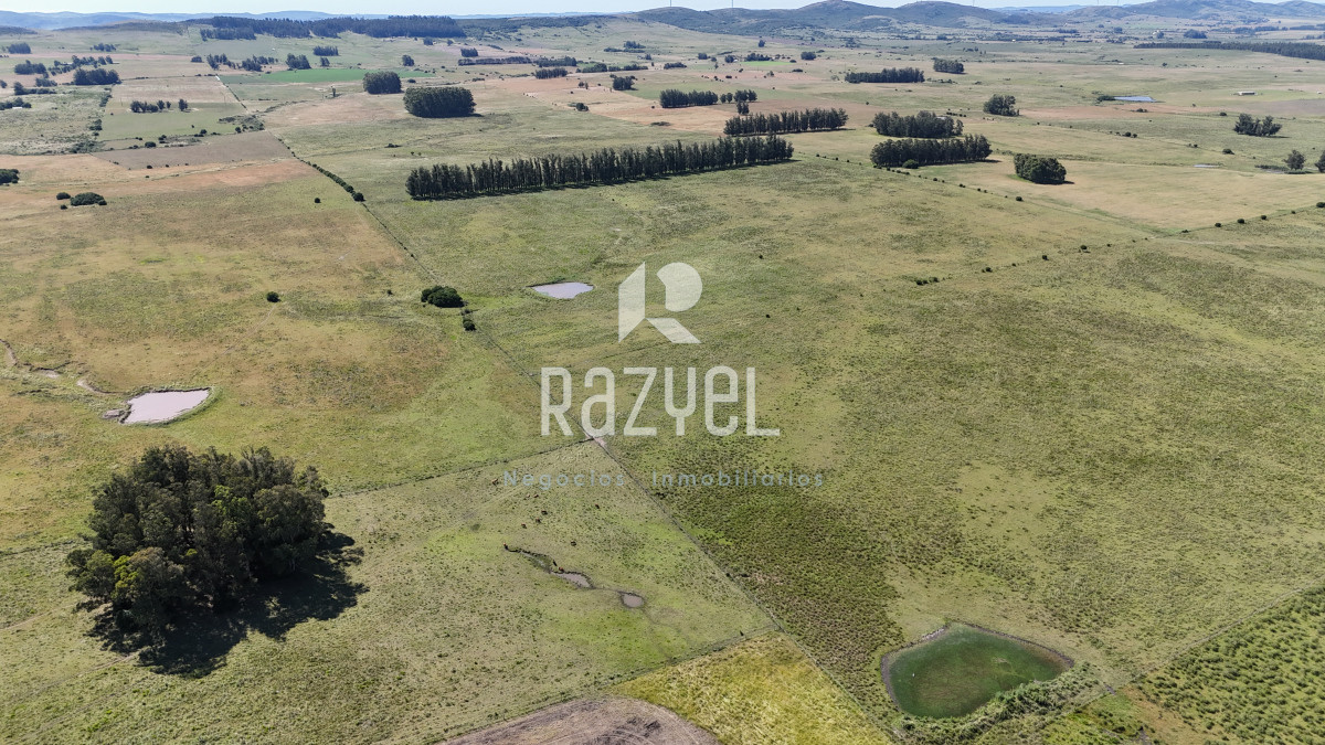 Campo Ref.840 - Venta de Campo de 100 hectareas de Campo Ganadero Agricola Zanja de Chavez 