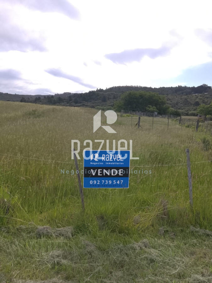 Campo Ref.1155 - Venta de Campo de 11 hectareas en Ruta 60
