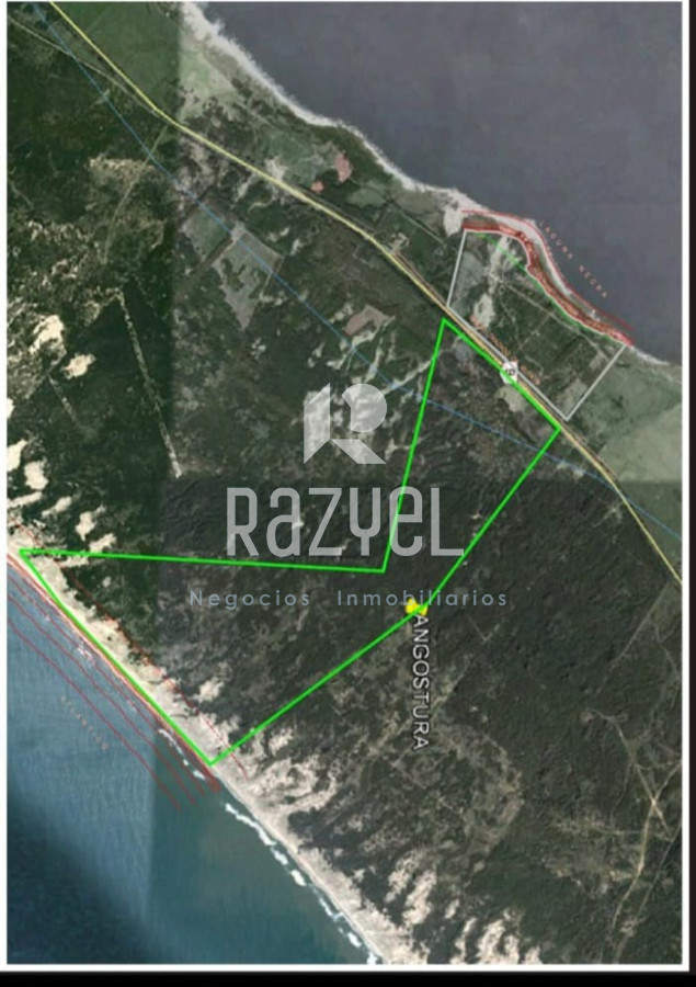 Campo Ref.1156 - Venta de Campo Forestal costero Rocha . Punta del Diablo