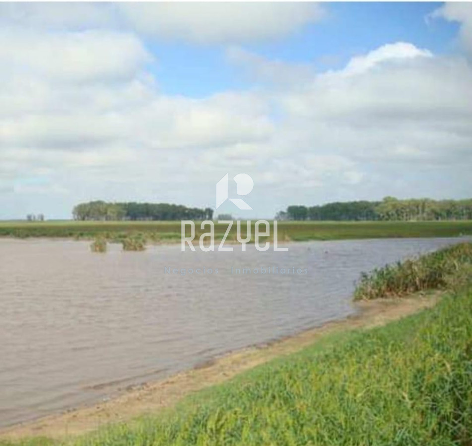 Campo Ref.1172 - Campo Estancia Lavalleja  de 2120 hectáreas Localidad Jose Pedro Varela