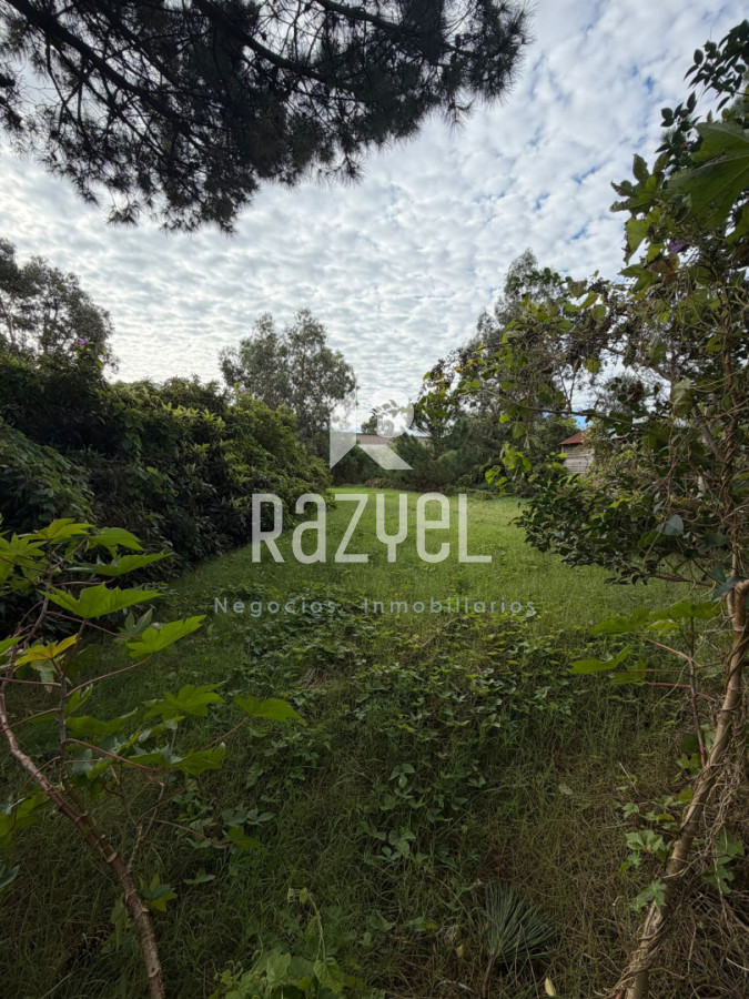 Campo Ref.1268 - Oportunidad en Terreno en VENTA!