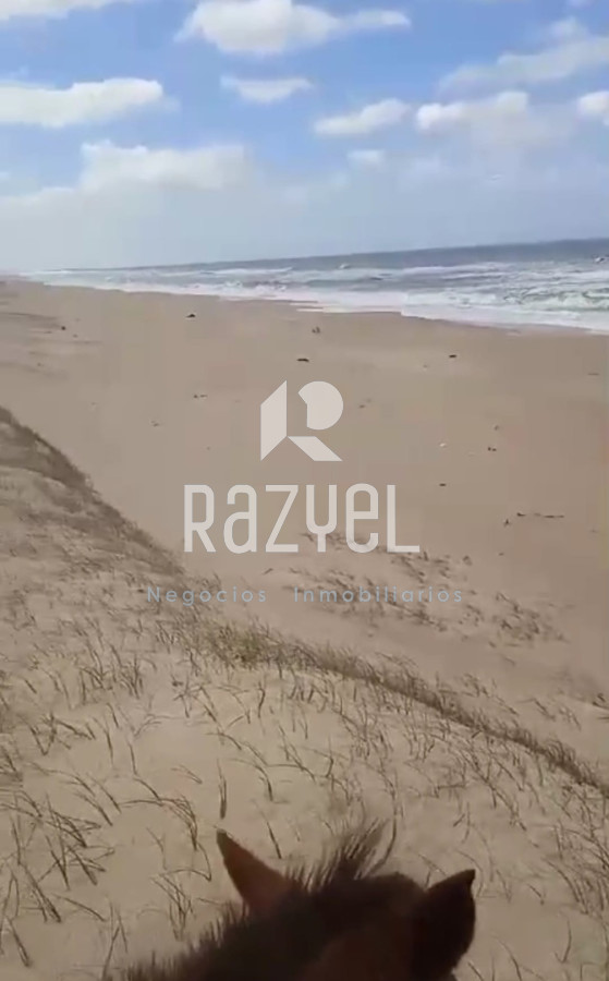 Campo Ref.1156 - Venta de Campo Forestal costero Rocha . Punta del Diablo