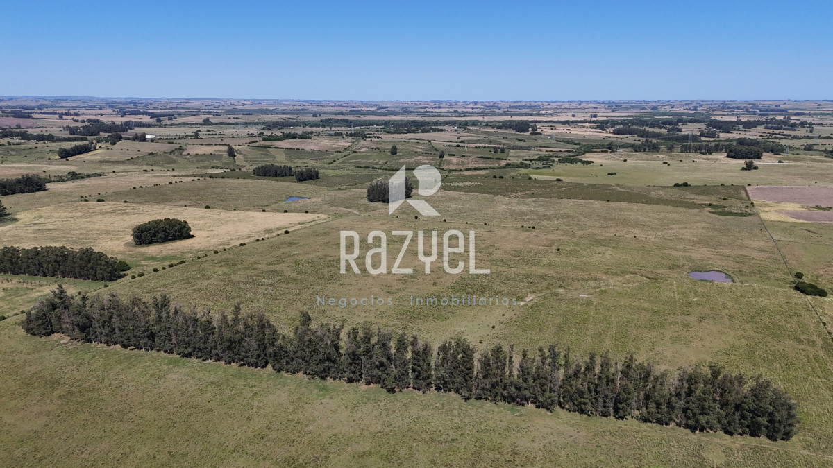 Campo Ref.840 - Venta de Campo de 100 hectareas de Campo Ganadero Agricola Zanja de Chavez 