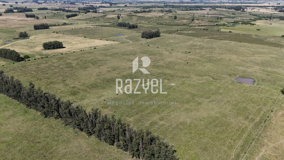 Campo Ref.840 - Venta de Campo de 100 hectareas de Campo Ganadero Agricola Zanja de Chavez 