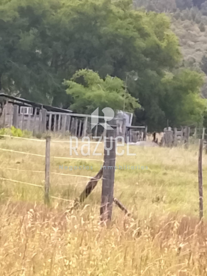 Campo Ref.1155 - Venta de Campo de 11 hectareas en Ruta 60