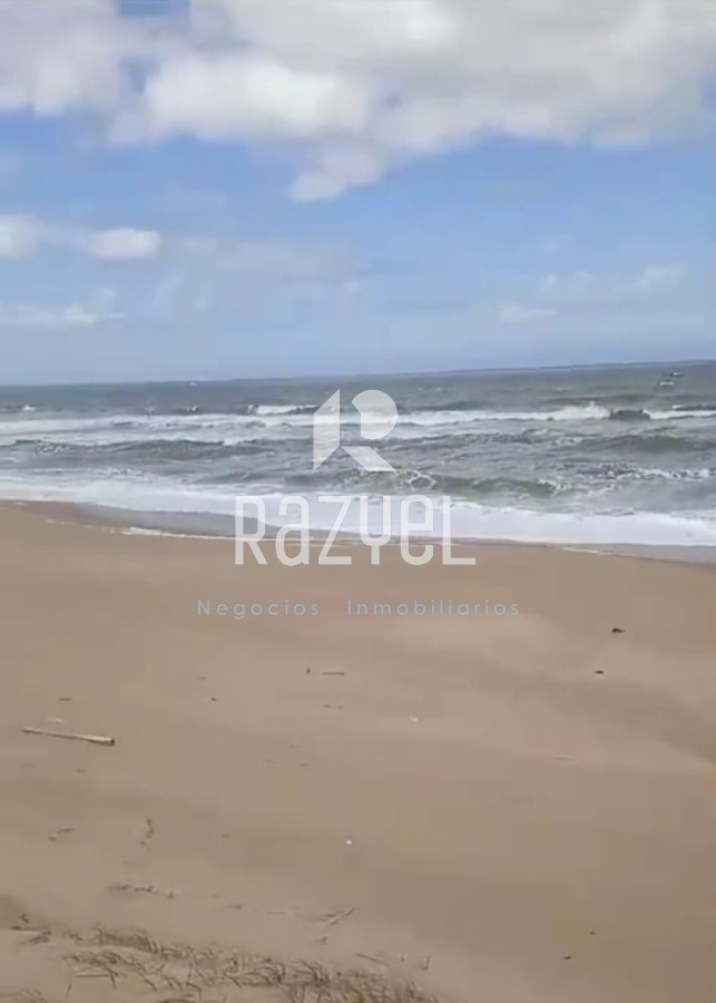 Campo Ref.1156 - Venta de Campo Forestal costero Rocha . Punta del Diablo