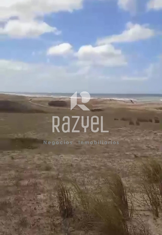 Campo Ref.1156 - Venta de Campo Forestal costero Rocha . Punta del Diablo