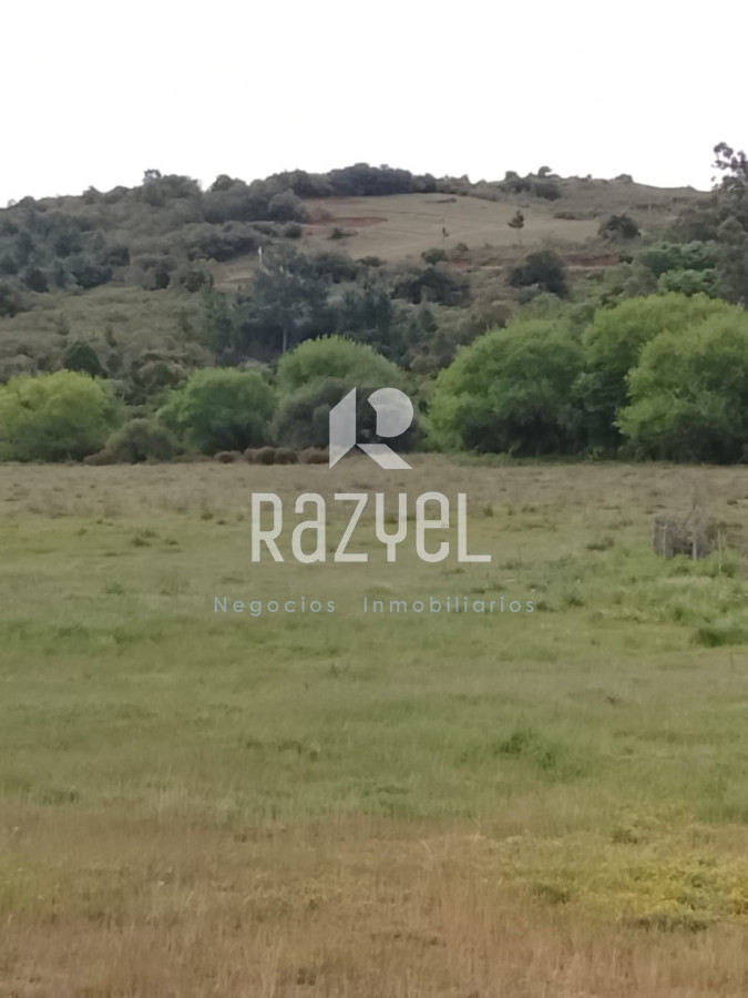 Campo Ref.1155 - Venta de Campo de 11 hectareas en Ruta 60