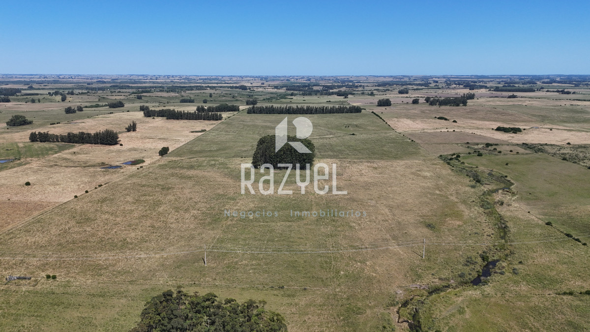 Campo Ref.840 - Venta de Campo de 100 hectareas de Campo Ganadero Agricola Zanja de Chavez 