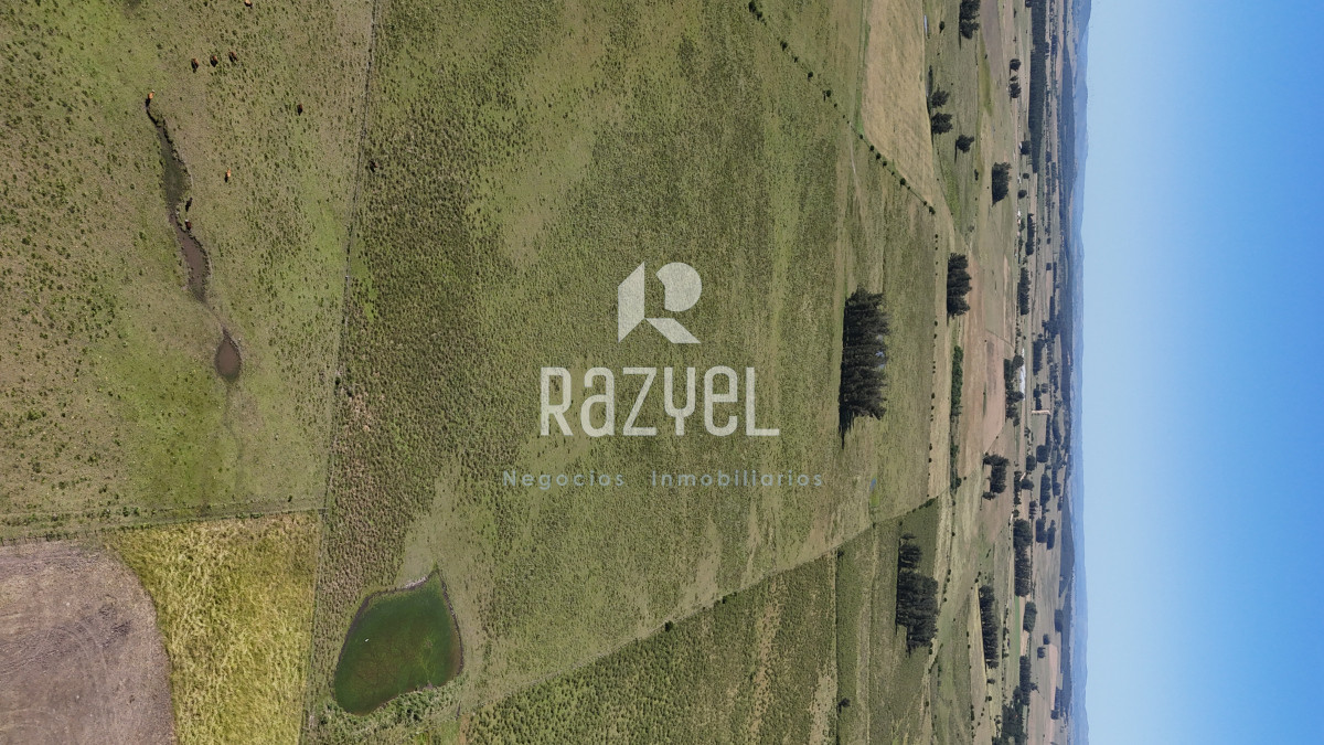 Campo Ref.840 - Venta de Campo de 100 hectareas de Campo Ganadero Agricola Zanja de Chavez 