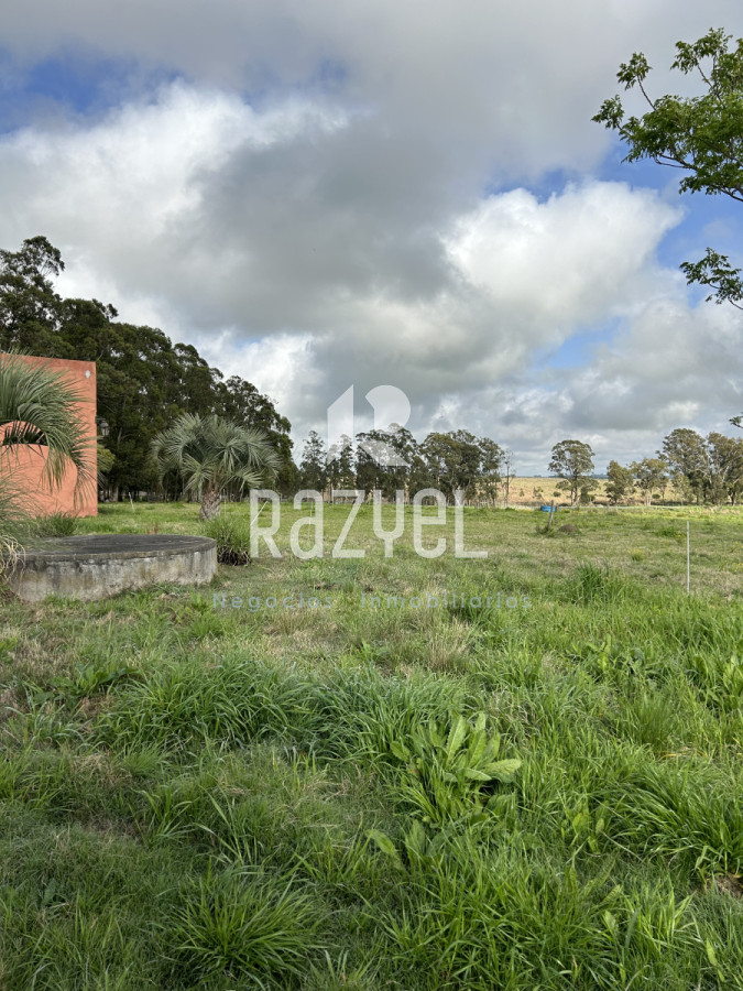 Campo Ref.798 - 81,5 Hect en Garzon