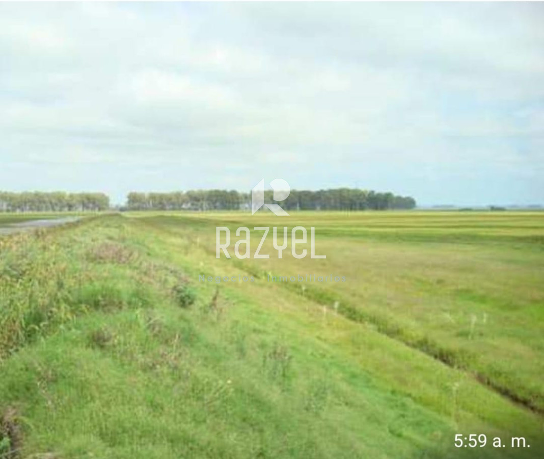 Campo Ref.1172 - Campo Estancia Lavalleja  de 2120 hectáreas Localidad Jose Pedro Varela