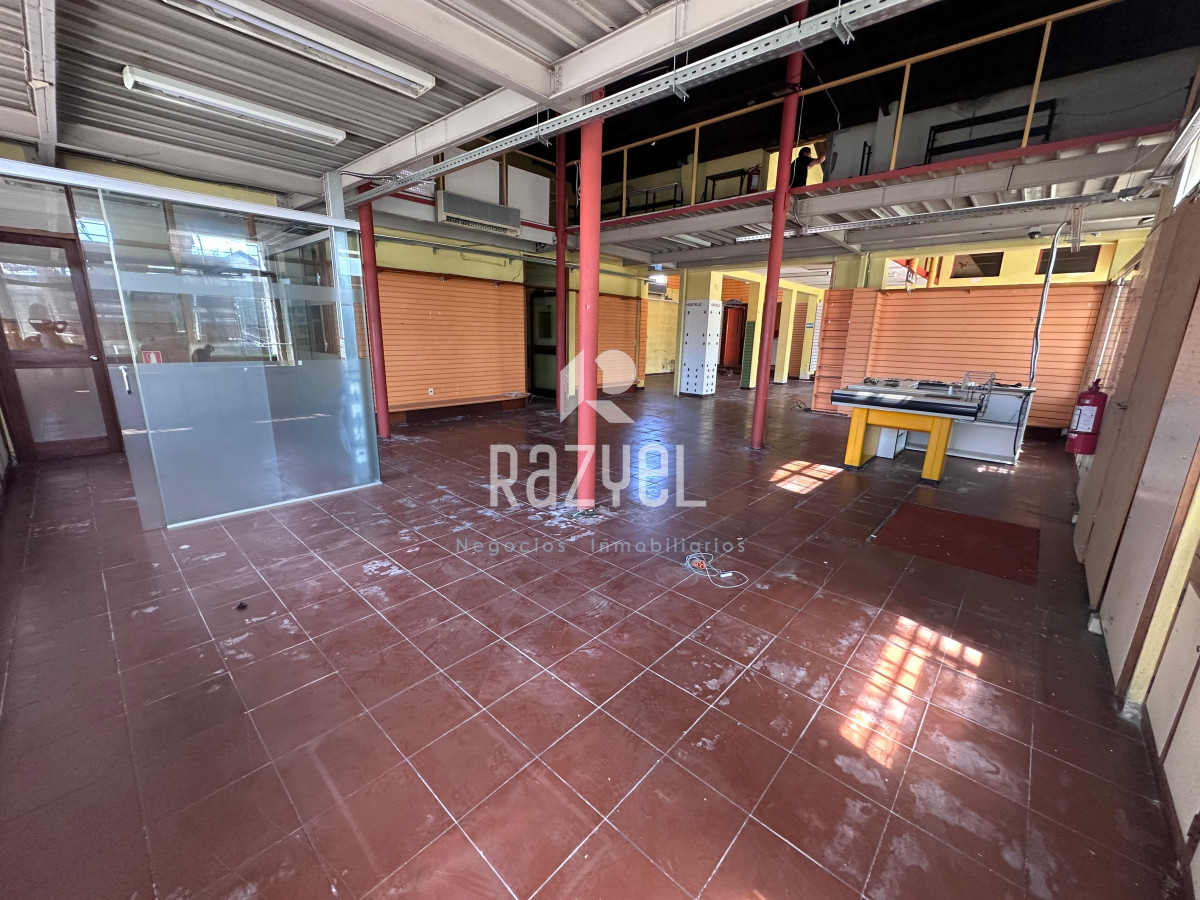 Local Comercial ID.1125 - Alquiler Local 550 m² en Centro de Maldonado.
