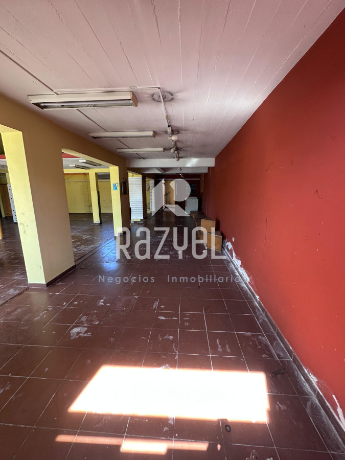 Local Comercial ID.1125 - Alquiler Local 550 m² en Centro de Maldonado.