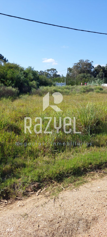 Terreno ID.1246 - VENTA  de terrenos Balneario Santa Monica .Lotes de 300 metros cuadrados a 450 metros cuadrados.