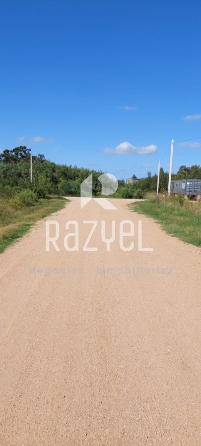 Terreno ID.1246 - VENTA  de terrenos Balneario Santa Monica .Lotes de 300 metros cuadrados a 450 metros cuadrados.